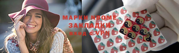 соль ск Каменка