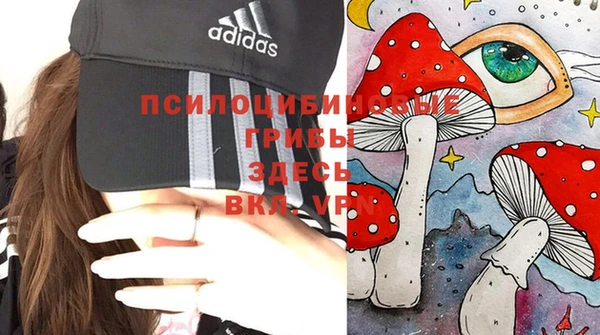 соль ск Каменка