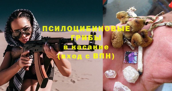 соль ск Каменка