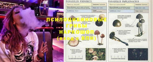 экстази Каменногорск