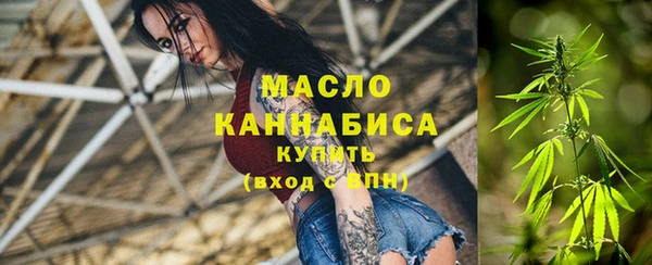 соль ск Каменка